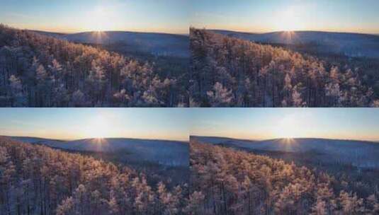 林海雪原 唯美高山雾凇高清在线视频素材下载