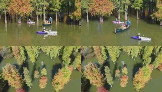 青山湖水上森林皮划艇航拍空镜高清在线视频素材下载