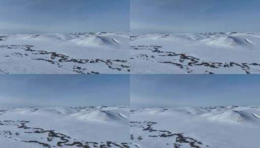 呼伦贝尔大雪原白雪皑皑高清在线视频素材下载
