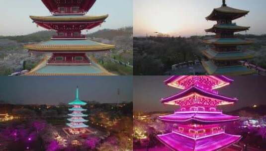 4k合集-武汉市东湖樱花园五重塔夜景航拍高清在线视频素材下载