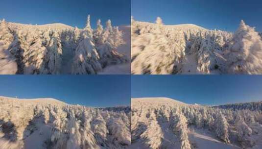 4kfpv航拍雪山森林日出高清在线视频素材下载