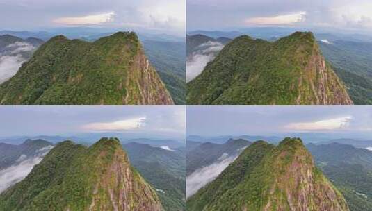 海南乐东县尖峰岭国家森林公园热带雨林高清在线视频素材下载