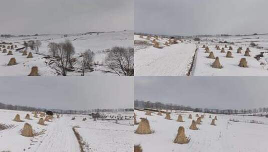 雪后田野中的草垛与树木景象高清在线视频素材下载