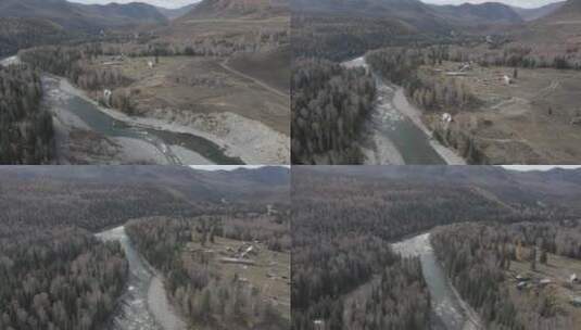 新疆 航拍 禾木 树林 河流 山川 俯拍 山脉高清在线视频素材下载
