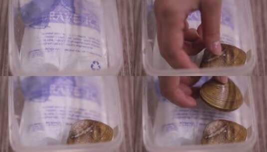 一次性饭盒冰袋储存花蛤高清在线视频素材下载