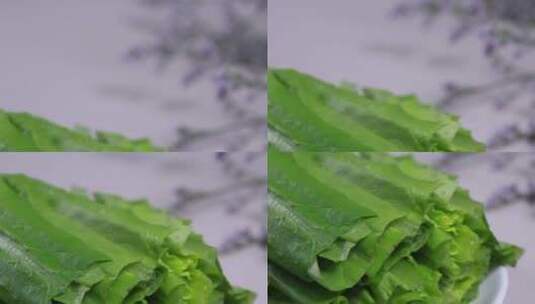 一盘青菜叶油麦菜叶高清在线视频素材下载