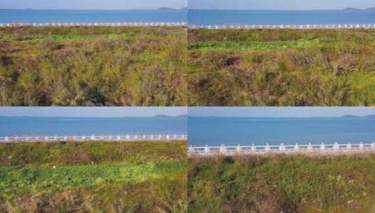 绿色伴海岸高清在线视频素材下载