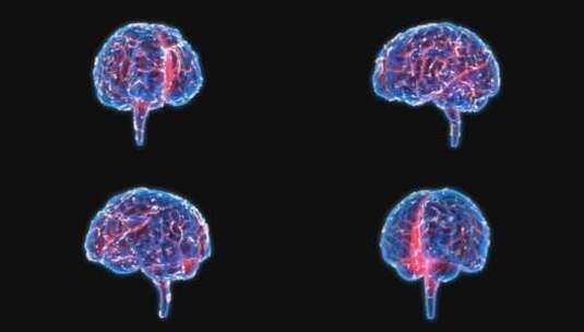 医学 大脑 脑科学 三维 脑ct1 模型高清在线视频素材下载