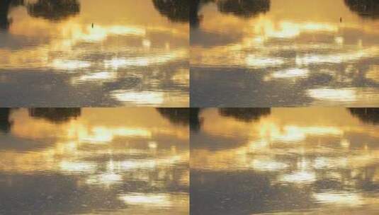 倒映着黄色夕阳的水高清在线视频素材下载