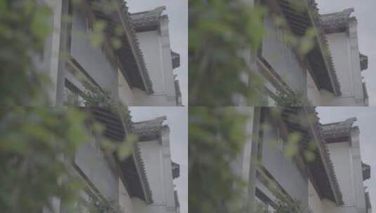 江南水乡苏州同里古镇·4K Vlog实拍高清在线视频素材下载