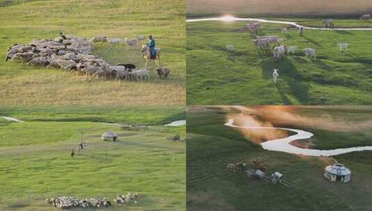 【10条合集】蒙古族民俗文化-156高清在线视频素材下载