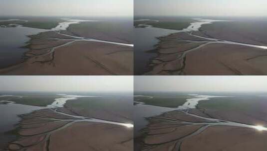 航拍鄱阳湖枯水期生命之树高清在线视频素材下载