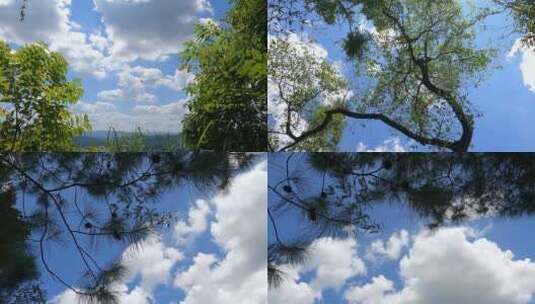 天空树白云空镜头高清在线视频素材下载