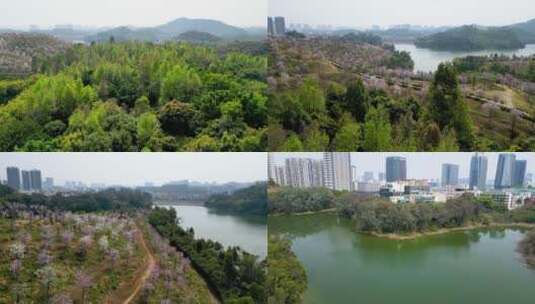 航拍深圳平湖生态园风景高清在线视频素材下载