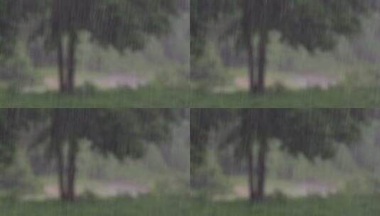 下雨时的特写高清在线视频素材下载