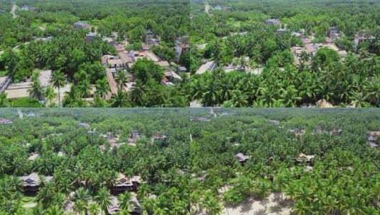 航拍海南省文昌市东郊椰林椰树风景高清在线视频素材下载
