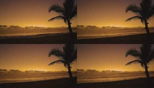 唯美晚霞海边椰树剪影高清在线视频素材下载