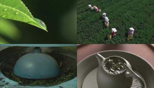 茶园茶厂制茶品茶高清在线视频素材下载