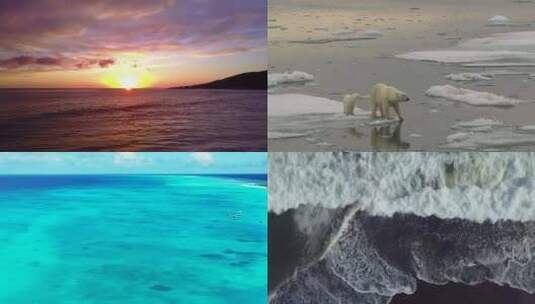 【合集】自然界的大洋高清在线视频素材下载