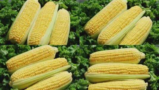 新鲜玉米甜玉米蔬菜农业粮食营养食材高清在线视频素材下载