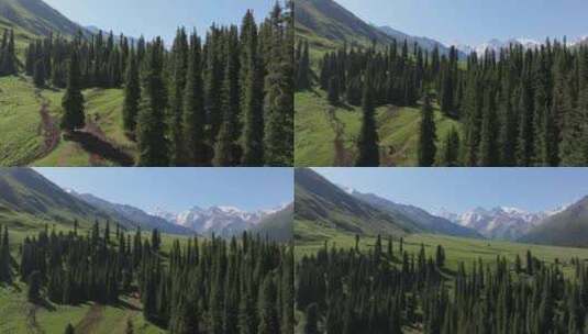 航拍夏天的新疆伊犁夏塔景区风景高清在线视频素材下载