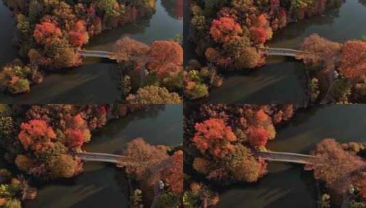 航拍公园跑步小桥河流树林纽约中央公园高清在线视频素材下载