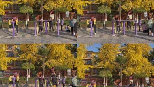 午后小区广场游玩银杏健身锻炼的人高清在线视频素材下载