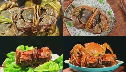 新鲜美味传统美食大闸蟹高清在线视频素材下载