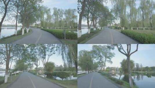 成都 北湖生态公园 湖景 公园高清在线视频素材下载