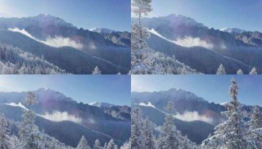 薄雾弥漫的布切吉山脉，蓝天下白雪皑皑的松高清在线视频素材下载