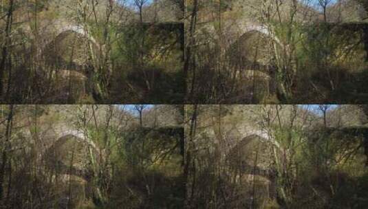 古罗马桥沿河无叶树木之间的低矮景观高清在线视频素材下载