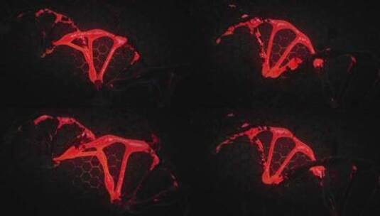 DNA医疗研究高清在线视频素材下载