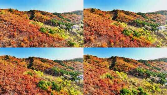 航拍色彩缤纷的辽宁千山秋景高清在线视频素材下载