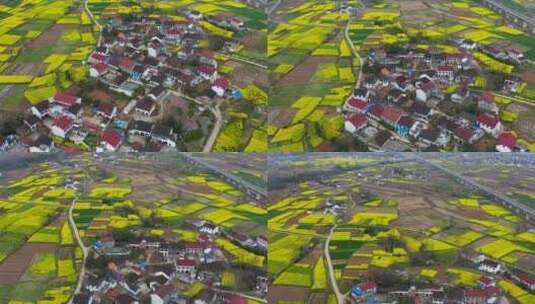 陕西汉中民居高铁油菜花大气航拍高清在线视频素材下载