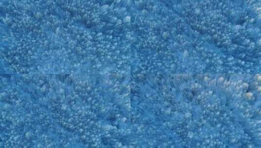 航拍大兴安岭冬季林海雪原雾凇高清在线视频素材下载