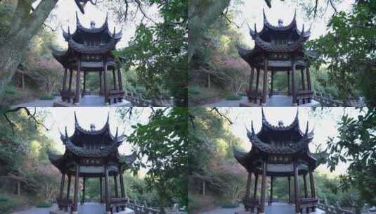 杭州九溪风景区理安寺高清在线视频素材下载