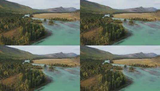 航拍秋天的新疆喀纳斯河森林自然风光高清在线视频素材下载