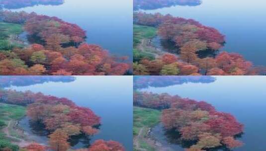 风景这边独好，治愈系风景高清在线视频素材下载