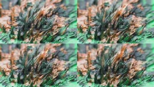 微距实拍4K微观金属被吸引有机物特写素材46高清在线视频素材下载