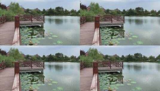 公园湖面高清在线视频素材下载