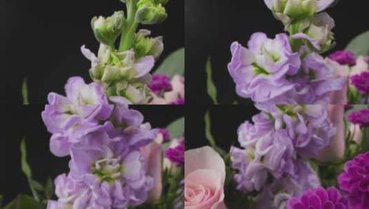 紫色和粉色花束特写镜头高清在线视频素材下载
