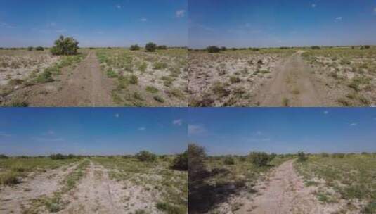 戈壁荒漠红柳林中行车记录高清在线视频素材下载