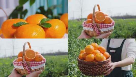 柑橘合集高清在线视频素材下载