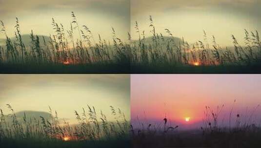 荒山野草日出日落空境高清在线视频素材下载