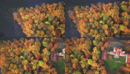 空中飞越美丽的秋天森林和城堡。飞越美丽的城堡；位于高清在线视频素材下载