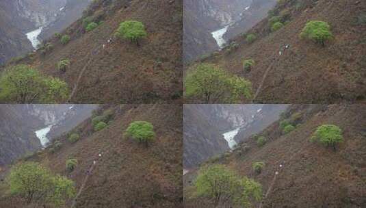 虎跳峡香格里拉高山雪山徒步旅行高清在线视频素材下载