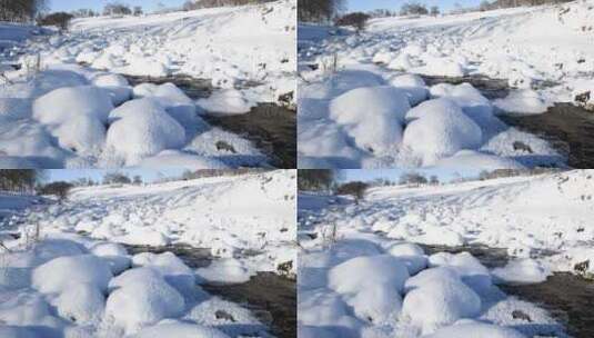 冬天雪地与流水冬季风景高清在线视频素材下载