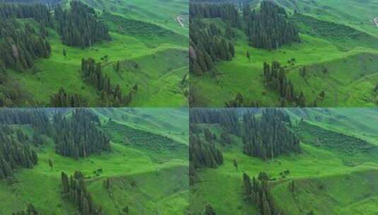 新疆伊犁草原森林航拍高清在线视频素材下载