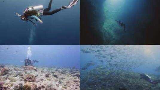 深海潜水海底生物高清在线视频素材下载