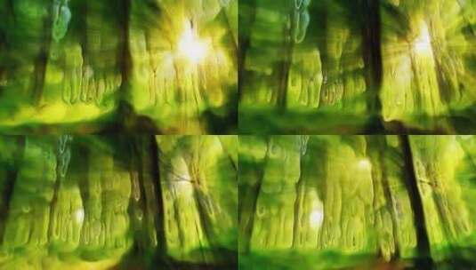 魔幻抽象油画风森林阳光高清在线视频素材下载